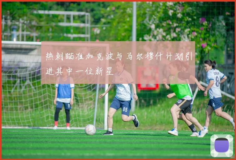 热刺瞄准加克波与马尔穆什计划引进其中一位新星